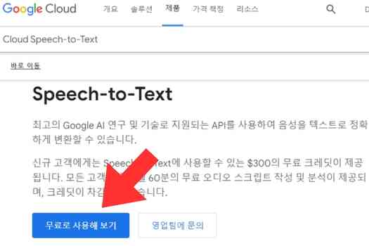 강의 음성 텍스트 변환 - Google Cloud Speech-to-Text