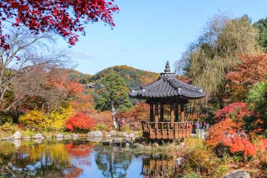 경기도 가평 아침고요수목원 내 가재보 가을 풍경 여행