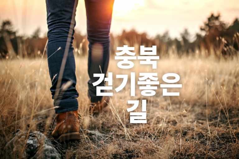 충북에서 걷기 좋은 5가지 길 힐링 걷기 코스 추천