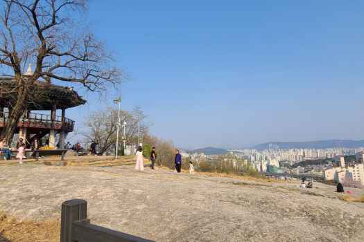 서울 숨겨진 야경 명소_오패산 오동공원