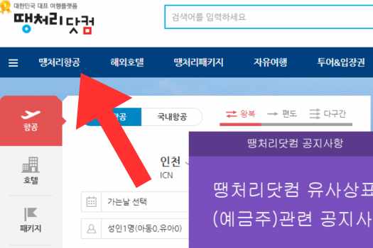 공동구매항공권 땡처리_땡처리닷컴