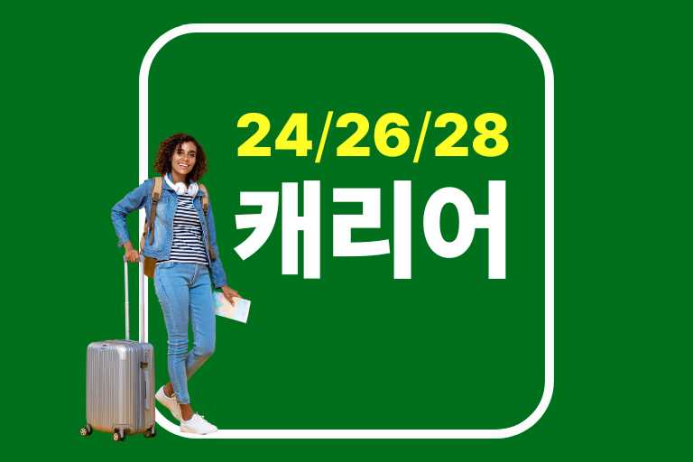 기내용 캐리어 허용범위, 24, 26, 28인치 캐리어 크기, 각각의 크기 선택시 고려할 점