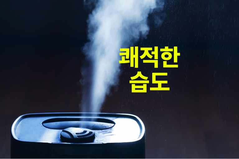 쾌적한 습도를 위한 계절별, 주거 형태별 관리방법