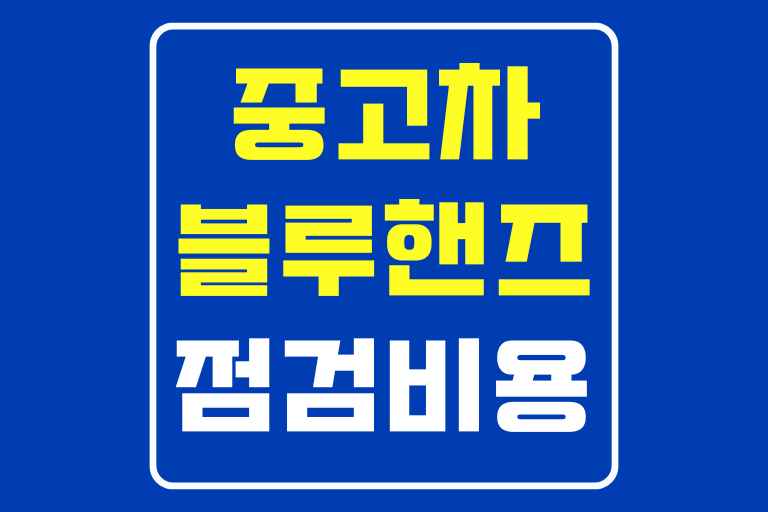 중고차 블루핸즈 점검 비용